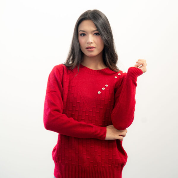 Women Ribbed Pullover Sweater